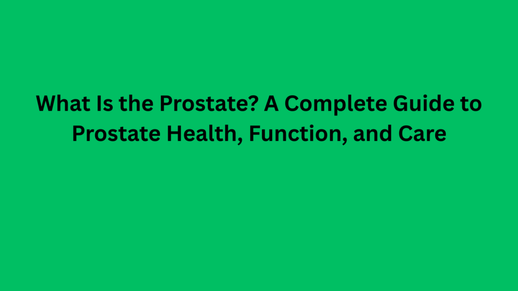 What Is the Prostate A Complete Guide to Prostate Health, Function, and Care